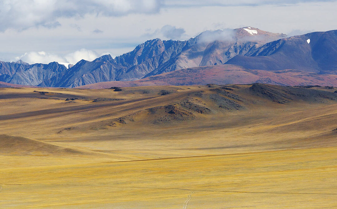 Conquering the steppe