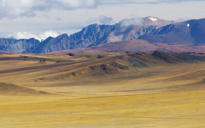 Conquering the steppe