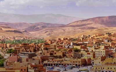 Militzer & Münch France strengthens Maghreb competence