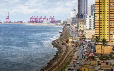 Strong in Sea Freight